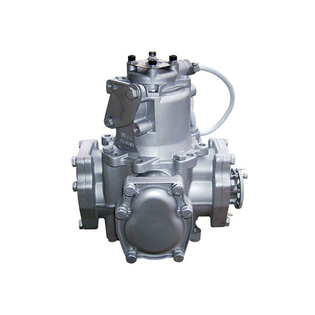 Piston Meter